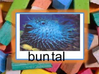 bun tal