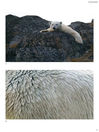 7/22/2019
4
Copyright © 2019, Oracle and/or its affiliates. All rights reserved. | @connor_mc_dconnor-mcdonald.com
Copyright © 2019, Oracle and/or its affiliates. All rights reserved. | @connor_mc_dconnor-mcdonald.com
7
8
 