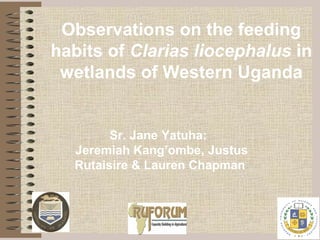 Observations on the feeding
habits of Clarias liocephalus in
 wetlands of Western Uganda


        Sr. Jane Yatuha:
  Jeremiah Kang’ombe, Justus
  Rutaisire & Lauren Chapman
 