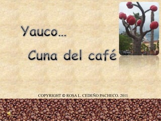 Yauco… Cuna del café COPYRIGHT © ROSA L. CEDEÑO PACHECO. 2011 