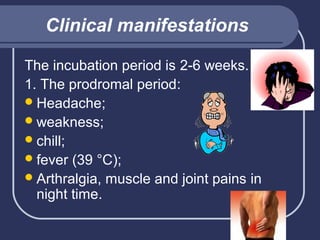 Clinical manifestations
The incubation period is 2-6 weeks.
1. The prodromal period:
 Headache;
 weakness;
 chill;
 fever (39 °C);
 Arthralgia, muscle and joint pains in
night time.

 