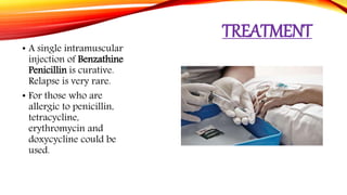 TREATMENT
• A single intramuscular
injection of Benzathine
Penicillin is curative.
Relapse is very rare.
• For those who are
allergic to penicillin,
tetracycline,
erythromycin and
doxycycline could be
used.
 
