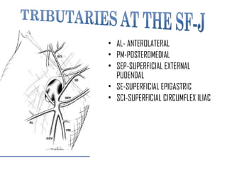 • AL- ANTEROLATERAL
• PM-POSTEROMEDIAL
• SEP-SUPERFICIAL EXTERNAL
PUDENDAL
• SE-SUPERFICIAL EPIGASTRIC
• SCI-SUPERFICIAL CIRCUMFLEX ILIAC
 