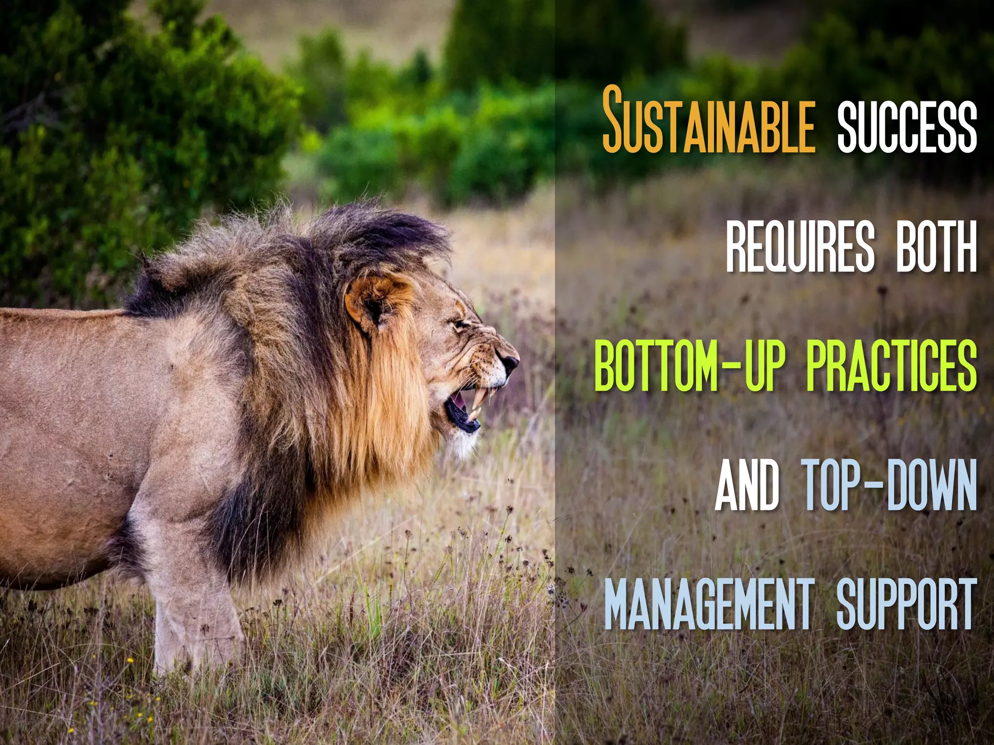 Sustainable success
requires both
bottom-up practices
and top-down
management support
 