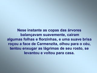 Nese instante as copas das árvores
balançavam suavemente, cairam
algumas folhas e florzinhas, e uma suave brisa
roçou a face de Carmenzita, olhou para o céu,
tentou enxugar as lágrimas de seu rosto, se
levantou e voltou para casa.
 