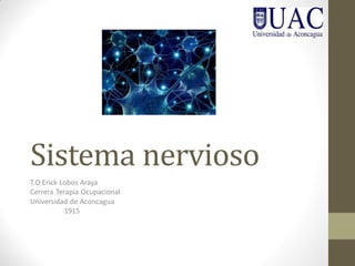 Sistema nervioso
T.O Erick Lobos Araya
Cerrera Terapia Ocupacional
Universidad de Aconcagua
1915
 
