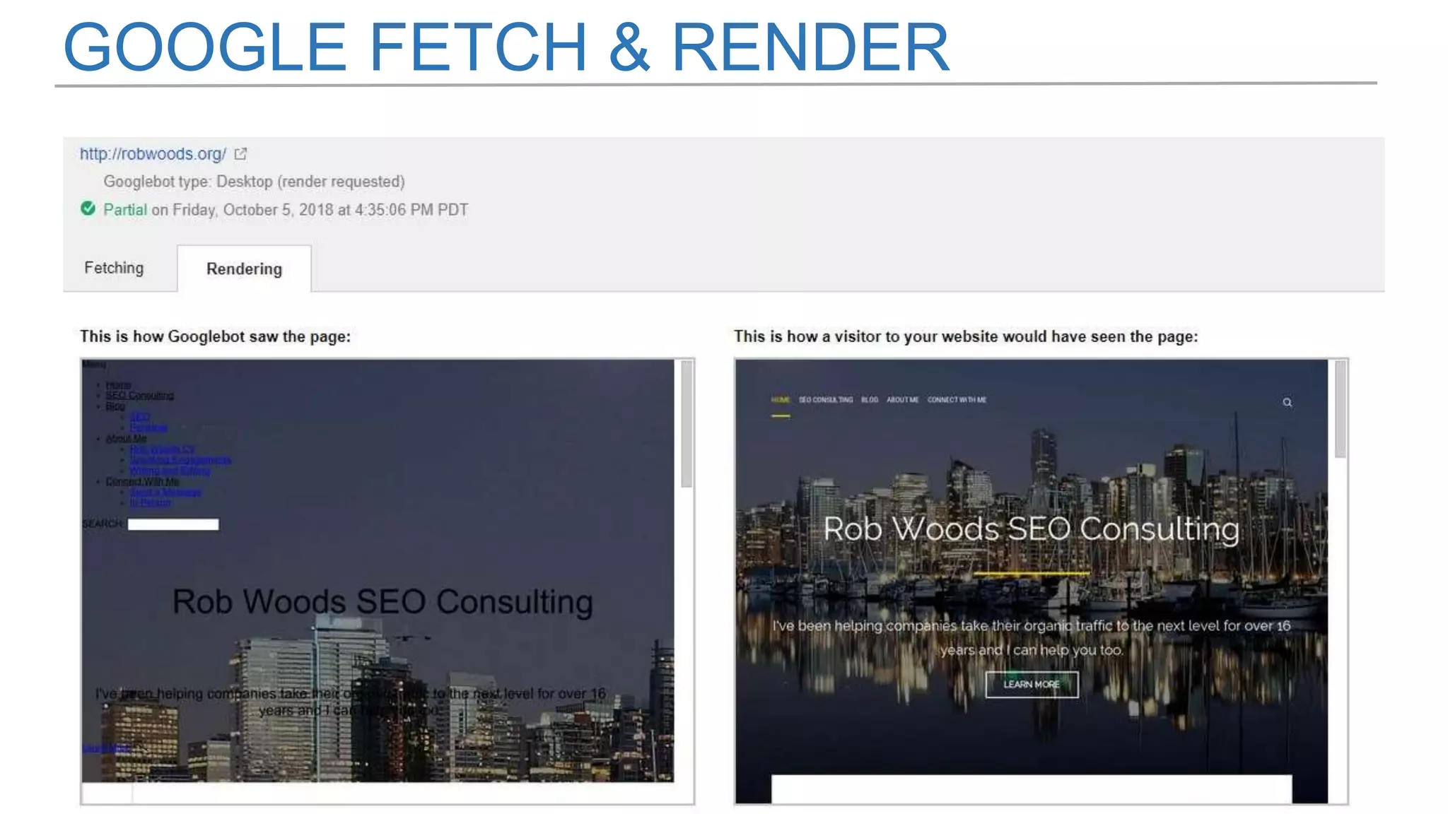 GOOGLE FETCH & RENDER
 