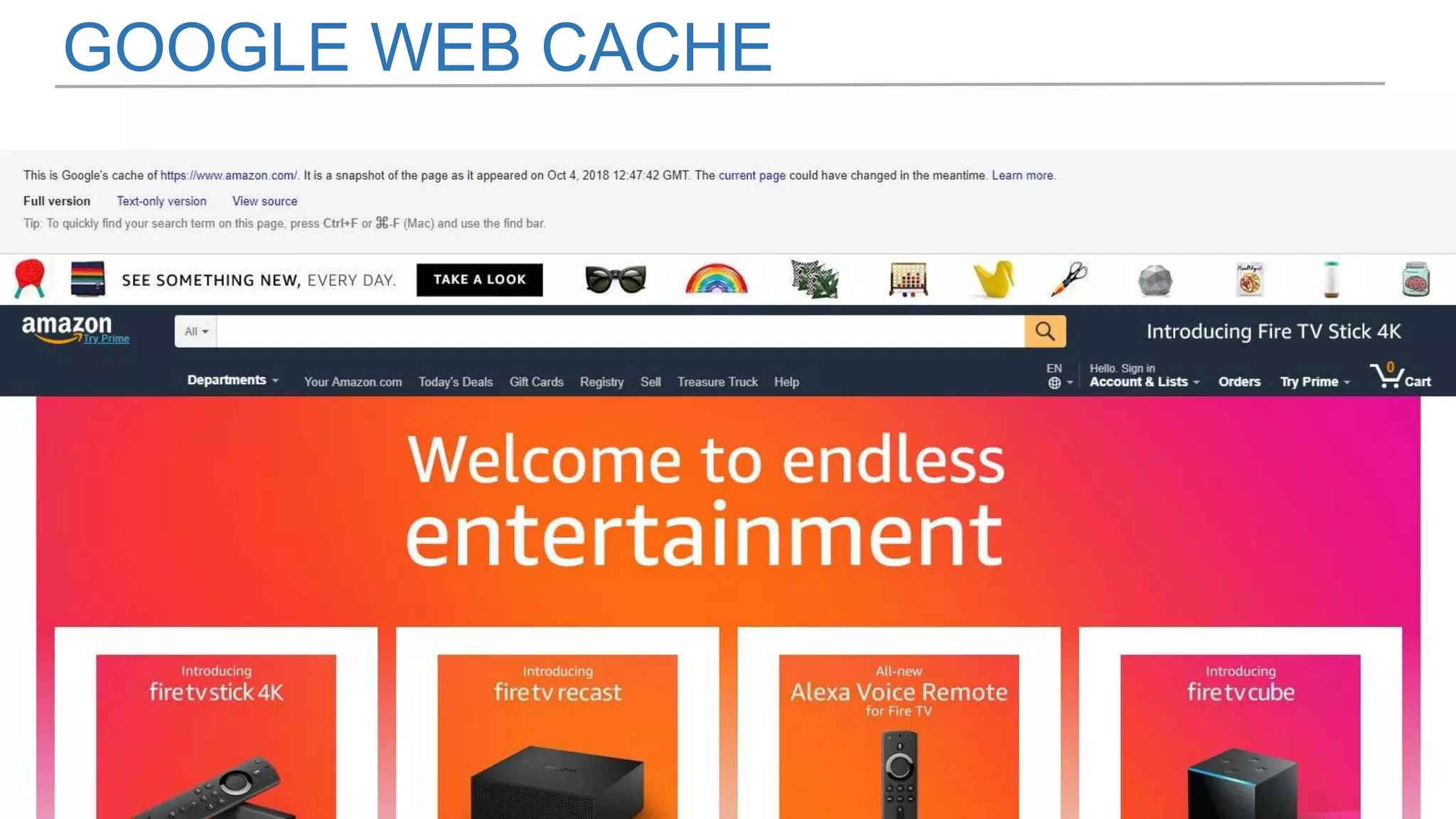 GOOGLE WEB CACHE
 