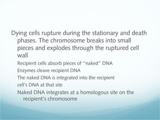 [Micro] bacterial genetics (12 jan) | PPT