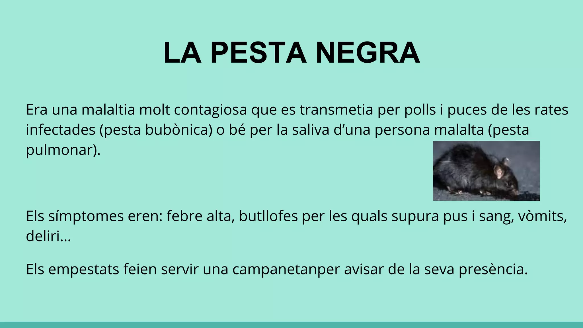 LA PESTA NEGRA
Era una malaltia molt contagiosa que es transmetia per polls i puces de les rates
infectades (pesta bubònica) o bé per la saliva d’una persona malalta (pesta
pulmonar).
Els símptomes eren: febre alta, butllofes per les quals supura pus i sang, vòmits,
deliri…
Els empestats feien servir una campanetanper avisar de la seva presència.
 