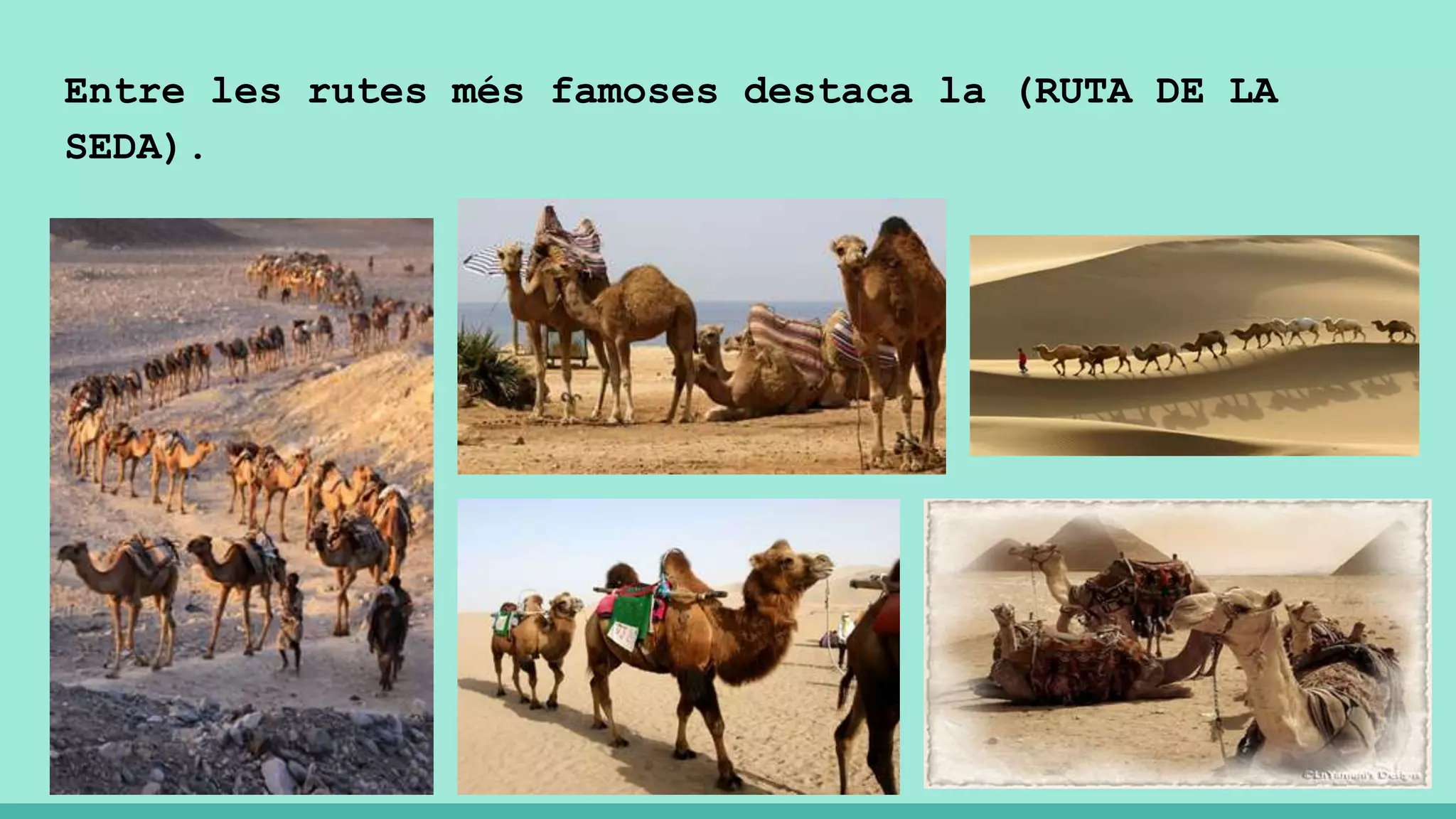 Entre les rutes més famoses destaca la (RUTA DE LA
SEDA).
 