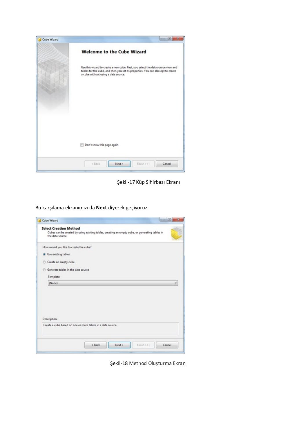 ms sql business intelligence development studio