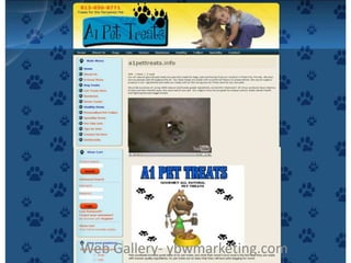 Web Gallery- ybwmarketing.comWeb Gallery- ybwmarketing.com