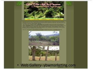 YBW Marketing Web Gallery