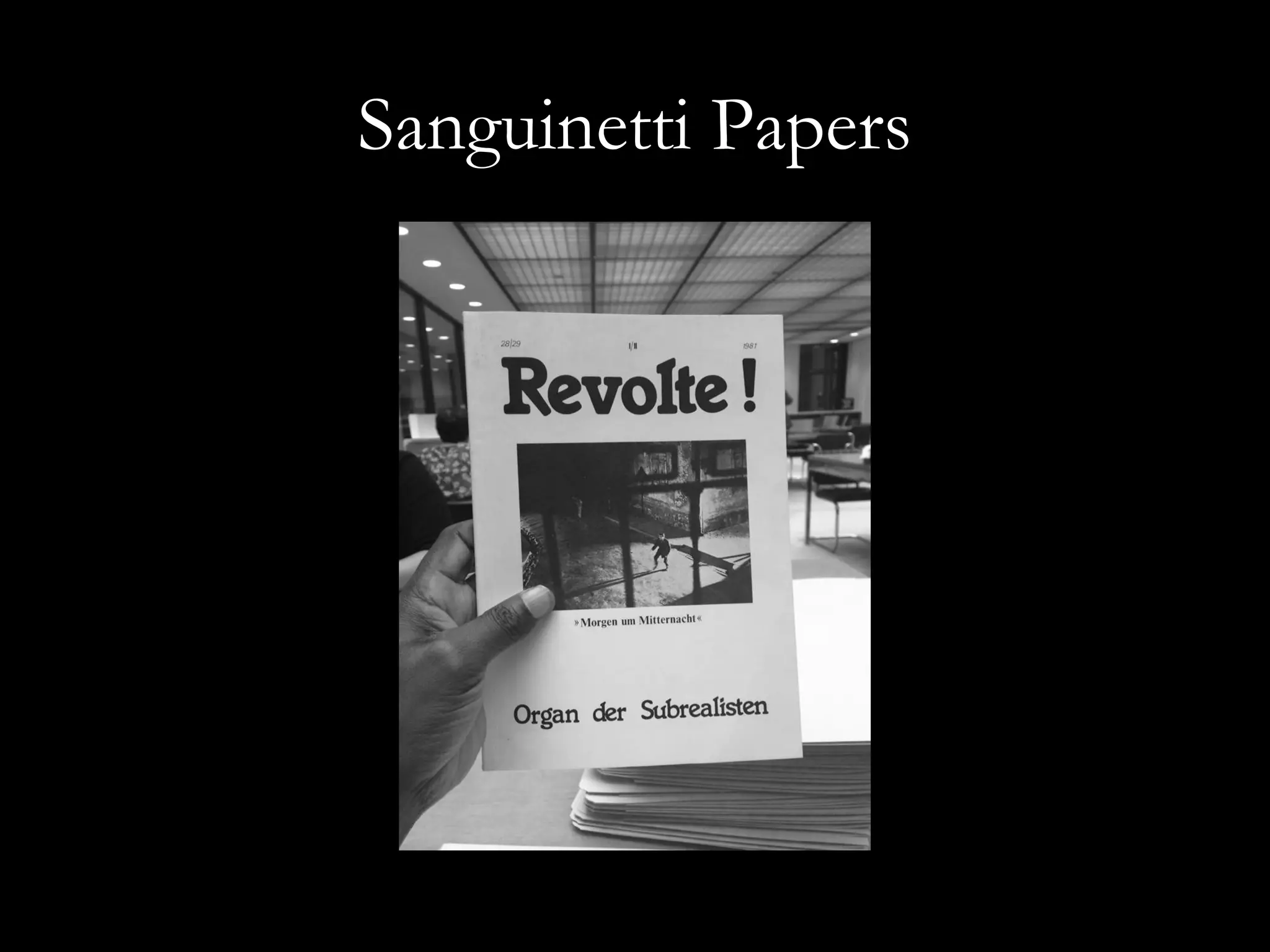 Sanguinetti Papers