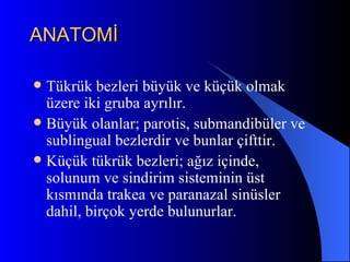 ANATOMİ

 Tükrük bezleri büyük ve küçük olmak
  üzere iki gruba ayrılır.
 Büyük olanlar; parotis, submandibüler ve
  sublingual bezlerdir ve bunlar çifttir.
 Küçük tükrük bezleri; ağız içinde,
  solunum ve sindirim sisteminin üst
  kısmında trakea ve paranazal sinüsler
  dahil, birçok yerde bulunurlar.
 
