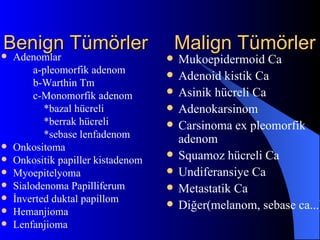 Benign Tümörler                         Malign Tümörler
   Adenomlar                          Mukoepidermoid Ca
         a-pleomorfik adenom           Adenoid kistik Ca
         b-Warthin Tm
         c-Monomorfik adenom           Asinik hücreli Ca
           *bazal hücreli              Adenokarsinom
           *berrak hücreli             Carsinoma ex pleomorfik
           *sebase lenfadenom           adenom
   Onkositoma
   Onkositik papiller kistadenom
                                       Squamoz hücreli Ca
   Myoepitelyoma                      Undiferansiye Ca
   Sialodenoma Papilliferum           Metastatik Ca
   İnverted duktal papillom
   Hemanjioma
                                       Diğer(melanom, sebase ca...)
   Lenfanjioma
 