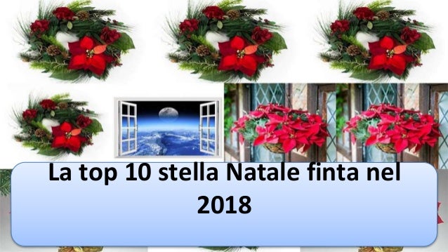 Pianta Stella Di Natale Finta.La Top 10 Stella Natale Finta Nel 2018