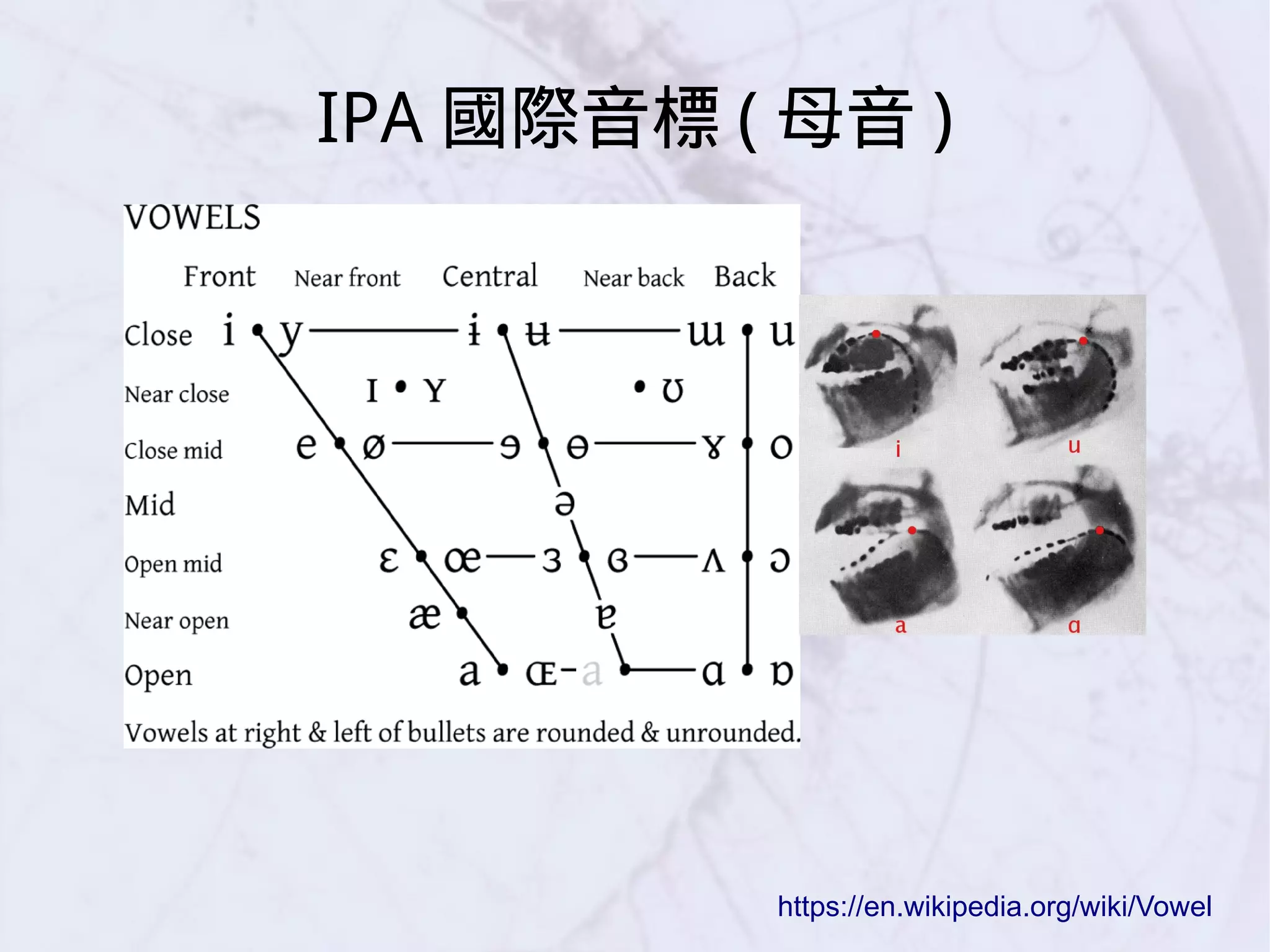 https://en.wikipedia.org/wiki/Vowel
IPA 國際音標 ( 母音 )
 