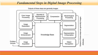Fundamental Steps in Digital Image Processing
 