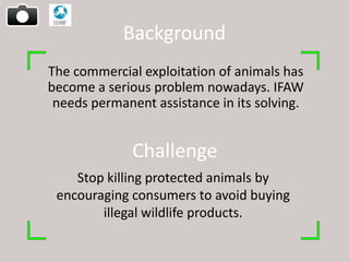 Background
The commercial exploitation of animals has
become a serious problem nowadays. IFAW
 needs permanent assistance in its solving.


              Challenge
    Stop killing protected animals by
 encouraging consumers to avoid buying
        illegal wildlife products.
 