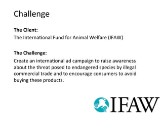 Challenge	
  
The	
  Client:	
  	
  
The	
  Interna-onal	
  Fund	
  for	
  Animal	
  Welfare	
  (IFAW)	
  
	
  
The	
  Challenge:	
  	
  
Create	
  an	
  interna-onal	
  ad	
  campaign	
  to	
  raise	
  awareness	
  
about	
  the	
  threat	
  posed	
  to	
  endangered	
  species	
  by	
  illegal	
  
commercial	
  trade	
  and	
  to	
  encourage	
  consumers	
  to	
  avoid	
  
buying	
  these	
  products.	
  
 