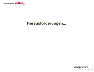 Praxisbeispiel 
Herausforderungen… 
 