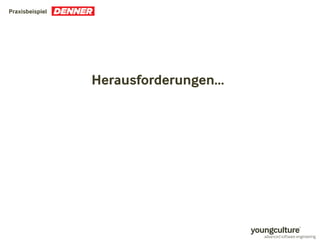 Praxisbeispiel 
Herausforderungen… 
 