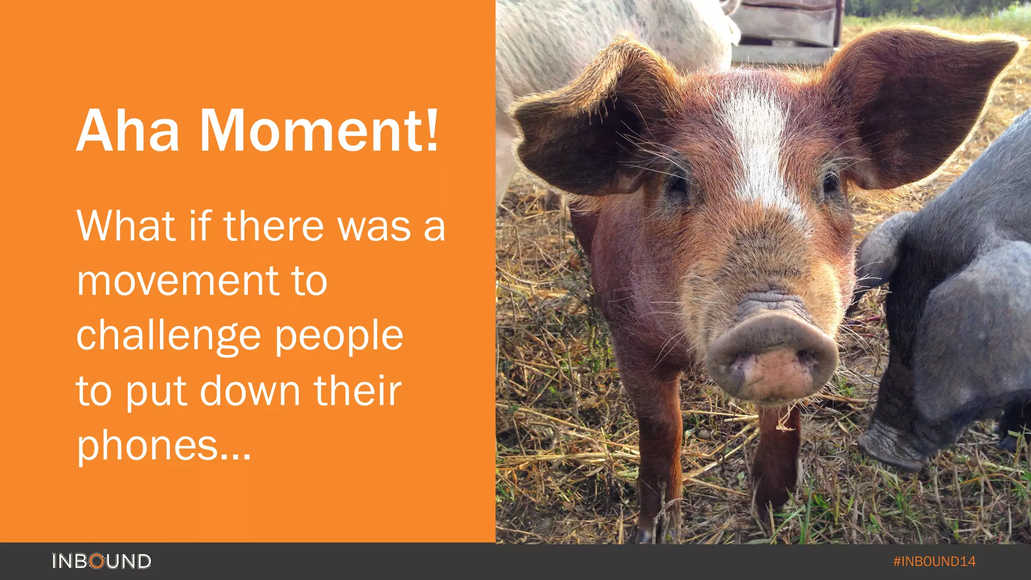 #INBOUND14 
Aha Moment! 
What if there was a 
movement to 
challenge people 
to put down their 
phones… 
 