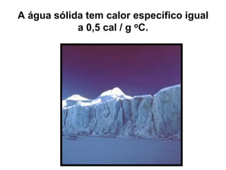 A água sólida tem calor específico igual
a 0,5 cal / g oC.
 
