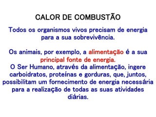 CALOR DE COMBUSTÃO
Todos os organismos vivos precisam de energia
para a sua sobrevivência.
Os animais, por exemplo, a alimentação é a sua
principal fonte de energia.
O Ser Humano, através da alimentação, ingere
carboidratos, proteínas e gorduras, que, juntos,
possibilitam um fornecimento de energia necessária
para a realização de todas as suas atividades
diárias.
 