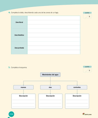 puntos
6
puntos
6
Zona litoral
Zona limnética
Zona profunda
Movimientos del agua
Descripción Descripción Descripción
olas corrientesmareas
234
4.	Completa la tabla, describiendo cada una de las zonas de un lago.
5.	Completa el esquema.
 