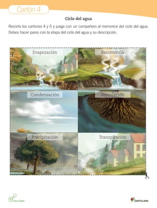 Cartón 4
Ciclo del agua
Recorta los cartones 4 y 5 y juega con un compañero al memorice del ciclo del agua.
Debes hacer pares con la etapa del ciclo del agua y su descripción.
Evaporación
Condensación
Precipitación
Escorrentía
Percolación
Transpiración
 