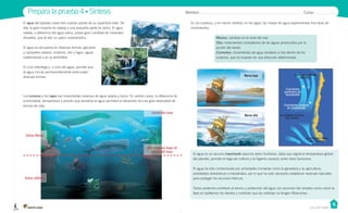 Unidad 1
Casa del Saber
Prepara la prueba 4 • Síntesis Nombre: Curso:
El agua es un recurso importante para los seres humanos, dado que regula la temperatura global
del planeta, permite el riego de cultivos y la higiene corporal, entre otras funciones.
El agua ha sido contaminada por actividades humanas como la ganadería y la agricultura,
actividades domésticas e industriales, por lo que ha sido necesario establecer reservas naturales
para proteger los recursos hídricos.
Todos podemos contribuir al ahorro y protección del agua con acciones tan simples como cerrar la
llave al cepillarnos los dientes y controlar que las cañerías no tengan filtraciones.
Zona fótica
Zona afótica
200 metros bajo el
nivel del mar
nivel del mar
Los océanos y los lagos son importantes reservas de agua salada y dulce. En ambos casos, la diferencia de
luminosidad, temperatura y presión que presenta el agua permiten el desarrollo de una gran diversidad de
formas de vida.
Contracorriente
del Perú
Corriente
oceánica de
Humboldt
Corriente costera
de Humboldt
Corriente Deriva
del Oeste
Corriente Cabo
de Hornos
Mareas: cambios en el nivel del mar.
Olas: movimientos ondulatorios de las aguas provocados por la
acción del viento.
Corrientes: movimientos de agua similares a ríos dentro de los
océanos, que se mueven en una dirección determinada.
En los océanos, y en menor medida, en los lagos, las masas de agua experimentan tres tipos de
movimientos:
Marea baja
Marea alta
El agua del planeta cubre tres cuartas partes de su superficie total. De
ella, la gran mayoría es salada y una pequeña parte es dulce. El agua
salada, a diferencia del agua dulce, posee gran cantidad de minerales
disueltos, que le dan su sabor característico.
El agua se encuentra en diversas formas: glaciares
y casquetes polares, océanos, ríos y lagos, aguas
subterráneas y en la atmósfera.
El ciclo hidrológico, o ciclo del agua, permite que
el agua circule permanentemente entre estas
diversas formas.
 