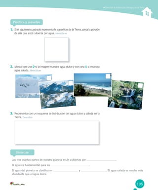 195
Describir la distribución del agua en la Tierra
1. Si el siguiente cuadrado representa la superficie de la Tierra, pinta la porción
de ella que está cubierta por agua. Identificar
2. Marca con una D si la imagen muestra agua dulce y con una S si muestra
agua salada. Identificar
3. Representa con un esquema la distribución del agua dulce y salada en la
Tierra. Describir
Practica y resuelve
Las tres cuartas partes de nuestro planeta están cubiertas por .
El agua es fundamental para los .
El agua del planeta se clasifica en y . El agua salada es mucho más
abundante que el agua dulce.
Sintetiza
 