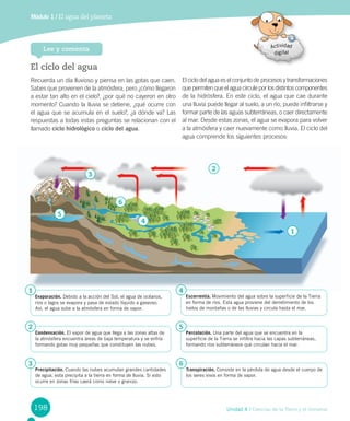 1
2
6
3
5
4
198 Unidad 4 / Ciencias de la Tierra y el Universo
Módulo 1 / El agua del planeta
El ciclo del agua
Recuerda un día lluvioso y piensa en las gotas que caen.
Sabes que provienen de la atmósfera, pero ¿cómo llegaron
a estar tan alto en el cielo?, ¿por qué no cayeron en otro
momento? Cuando la lluvia se detiene, ¿qué ocurre con
el agua que se acumula en el suelo?, ¿a dónde va? Las
respuestas a todas estas preguntas se relacionan con el
llamado ciclo hidrológico o ciclo del agua.
El ciclo del agua es el conjunto de procesos y transformaciones
que permiten que el agua circule por los distintos componentes
de la hidrósfera. En este ciclo, el agua que cae durante
una lluvia puede llegar al suelo, a un río, puede infiltrarse y
formar parte de las aguas subterráneas, o caer directamente
al mar. Desde estas zonas, el agua se evapora para volver
a la atmósfera y caer nuevamente como lluvia. El ciclo del
agua comprende los siguientes procesos:
Lee y comenta
Evaporación. Debido a la acción del Sol, el agua de océanos,
ríos o lagos se evapora y pasa de estado líquido a gaseoso.
Así, el agua sube a la atmósfera en forma de vapor.
1
Condensación. El vapor de agua que llega a las zonas altas de
la atmósfera encuentra áreas de baja temperatura y se enfría
formando gotas muy pequeñas que constituyen las nubes.
2
Precipitación. Cuando las nubes acumulan grandes cantidades
de agua, esta precipita a la tierra en forma de lluvia. Si esto
ocurre en zonas frías caerá como nieve o granizo.
3
Escorrentía. Movimiento del agua sobre la superficie de la Tierra
en forma de ríos. Esta agua proviene del derretimiento de los
hielos de montañas o de las lluvias y circula hasta el mar.
4
Percolación. Una parte del agua que se encuentra en la
superficie de la Tierra se infiltra hacia las capas subterráneas,
formando ríos subterráneos que circulan hacia el mar.
5
Transpiración. Consiste en la pérdida de agua desde el cuerpo de
los seres vivos en forma de vapor.
6
 