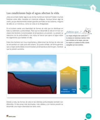 205
Analizar y describir las características de los océanos, mares y lagos
Las condiciones bajo el agua afectan la vida
¿Has escuchado hablar alguna vez de los monstruos marinos? Existen muchas
historias sobre ellos, basadas en creencias antiguas. Aunque tienen algo de
cierto, ya que efectivamente existen grandes animales en los océanos, ninguno
de ellos es un monstruo, como se creía en la Antigüedad.
En el océano existe una diversidad de formas de vida que se distribuye en
toda su extensión y profundidad. Para que se desarrolle la vida en el mar son
claves tres factores: la luminosidad, la temperatura y la presión. La presión se
relaciona con la profundidad y nos indica la fuerza que ejerce el agua sobre
los organismos que habitan en ella.
Estos tres factores son muy importantes y determinan las formas de vida que
se encuentran en cada zona del océano. Se puede señalar, de forma general,
que a mayor profundidad, la luminosidad y la temperatura disminuyen, mientras
que la presión aumenta.
Los mapas antiguos dan cuenta de
la creencia en monstruos marinos. Estos
eran incluidos en los mapas, para que
los viajeros se cuidaran de ellos cuando
navegaban por esos sectores.
¿Sabías que...?
Debido a esto, las formas de vida en las distintas profundidades también son
diferentes. En las zonas más iluminadas, más cálidas y con menos presión se
desarrolla una mayor diversidad de seres vivos.
menor
presión
menor
temperatura
mayor
temperatura
menos
luz
más
luz
mayor
presión
 