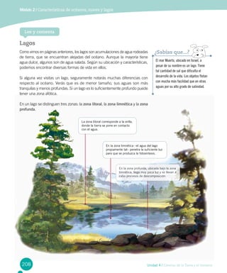 Unidad 4 / Ciencias de la Tierra y el Universo
Lagos
Como vimos en páginas anteriores, los lagos son acumulaciones de agua rodeadas
de tierra, que se encuentran alejadas del océano. Aunque la mayoría tiene
agua dulce, algunos son de agua salada. Según su ubicación y características,
podemos encontrar diversas formas de vida en ellos.
Si alguna vez visitas un lago, seguramente notarás muchas diferencias con
respecto al océano. Verás que es de menor tamaño, sus aguas son más
tranquilas y menos profundas. Si un lago es lo suficientemente profundo puede
tener una zona afótica.
En un lago se distinguen tres zonas: la zona litoral, la zona limnética y la zona
profunda.
Módulo 2 / Características de océanos, mares y lagos
Lee y comenta
La zona litoral corresponde a la orilla,
donde la tierra se pone en contacto
con el agua.
El mar Muerto, ubicado en Israel, a
pesar de su nombre es un lago. Tiene
tal cantidad de sal que dificulta el
desarrollo de la vida. Los objetos flotan
con mucha más facilidad que en otras
aguas por su alto grado de salinidad.
¿Sabías que...?
208
En la zona limnética –el agua del lago
propiamente tal– penetra la suficiente luz
para que se produzca la fotosíntesis.
En la zona profunda, ubicada bajo la zona
limnética, llega muy poca luz y se llevan a
cabo procesos de descomposición.
 