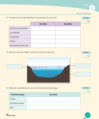 Unidad 4
Evaluación intermedia
puntos
10
puntos
3
puntos
3
3.	Completa el cuadro describiendo las características de cada zona.
Zona fótica Zona afótica
Ubicación (profundidad)
Luminosidad
Temperatura
Presión
Diversidad de seres vivos
Movimiento del agua Descripción
Mareas
Corrientes marinas
Olas
4.	Observa la siguiente imagen y escribe el nombre de cada zona.
5.	Señala las características de cada uno de los movimientos del agua.
215
 