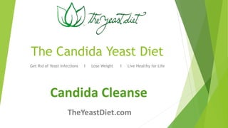 The Candida Yeast Diet 
Get Rid of Yeast Infections І Lose Weight І Live Healthy for Life 
Candida Cleanse 
TheYeastDiet.com 
 