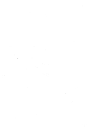 الجزء الثاني الفتنة بين الصحابة  جزء  2 للشيخ محمد حسان 