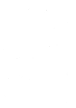 الجزء الثاني الفتنة بين الصحابة  جزء  2 للشيخ محمد حسان 