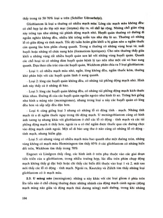 thấy trong từ 50-70% loại u trên (Schiffer Udroarhelyi).
Glioblastom là loại u thường có nhiều mạch máu. Lòng các mạch máu không đều:
có chỗ hẹp lại do lốp nội mạc (intyma) dày ra, có chỗ lại rộng. Những chỗ giãn rộng
này trông tựa nhu nhũng túi phình động mạch nhỏ. Huyết quản thường có (luông di
ngoằn nghèo không đều, nhiều khi trông xoắn tựa nhu dây lò xo. Thường có nhũng
lỗ rò giũa động và tĩnh mạch. Tốc độ tuần hoàn giũa khói u bị giảm nên u ngấm thuốc
cản quang lâu hon phàn chung quanh. Trong u thường có nhũng vùng hoại tú, xuất
huyết hoặc những tồ chức nang kén (íormations kystiques). Cho nên thuồng thấy giũa
khối u những vùng rất nhiều huyết quàn xen kẽ vối nhũng vùng huyết quản. Quanh
các chỗ hoại tử có nhũng đám huyết quản bệnh lý tạo nên nhu một cái vò bao xung
quanh. Dựa theo cấu trúc của các huyết quản, Wickbom phân chia ra 5 loại glioblastom:
- Loại 1: có nhiều mạch máu nhó, ngắn, lòng không đều, ngấm thuốc kém, thường
khó phân biệt vói các huyết quản lành ỏ xung quanh.
- Loại 2: lòng các huyết quản không đều, có nhũng túi phồng động mạch nhó. Hình
ảnh này thấy cả ỏ nhũng di bào.
- Loại 3: lòng các huyết quản không đều, có nhũng túi phồng động mạch kích thước
khác nhau. Đuòng đi của các huyết quản ngoằn ngoéo nhu hình lò xo. Trông hoi gióng
nhu hình u màng não (meningiomes), nhung trong loại u này các huyết quản có lòng
đều hon và sắp xếp đều đặn hon.
- Loại 4: cũng giống loại 3 nhung có nhúng lỗ rò động tĩnh - mạch. Nhũng tĩnh
mạch từ u đi ngấm thuốc ngay trong thì động mạch. u meningoblastom cũng có hình
ánh tuông tụ nhung khác vói glioblastom ó chỗ các lỗ rò động - tĩnh mạch và các túi
phồng dộng mạch ít thấy hon, ngoài ra u có thể ngấm duọc thuốc qua các đuòng chọc
vào động mạch cảnh ngoài. Một số di bào ung thu ò não cũng có nhũng lỗ rò dộng -
tĩnh mạch, nhung hiếm gặp.
- Loại 5: có nhung vùng có nhiều mạch máu bao quanh nhu một đường tròn, nhũng
vùng không có mạch máu Heminingson tìm thấy 85% ó các glioblastom có nhũng biến
đổi trên, Vickbom tìm thấy trong 70%
Engeset và Lindgren thấy rằng, cấc hình ảnh ỏ trên phụ thuộc vào các giai đoạn
tiến triền cùa u glioblastom, trong nhiều truồng họp, lúc dầu trên phim chụp dộng
mạch không thấy gì dặc biệt hoặc chi thấy các biến dổi thuộc vào loại Ì và 2, mái sau
mói thấy các lỗ rò dộng - tĩnh mạch. Ngoài ra, Kautzley và Zùlch tìm thấy nhúng loại
glioblastom có ít mạch máu.
2.3. Ư màng náo (mcningiom): nhũng u này khác vối các loại gliom ỏ phía trên
lều tiều não ỏ chỗ chúng thuồng đuọc nhũng nhánh cùa động mạch cảnh ngoài (dộng
mạch màng não giũa và dộng mạch thái dương nông) nuôi dưỡng, trong khi nhũng
104
 