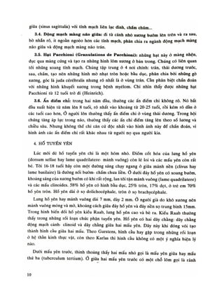 giữa (sinus sagittalis) vối tĩnh mạch liên lạc đinh, chẩm chúm...
3.4. Động mạch màng náo giữa: đi tù cánh nhỏ xương bưãm lên trên và ra sau,
bò nhẵn rõ, Ít ngoằn ngoéo hon các tĩnh mạch, phân chia ra ngành động mạch màng
não giũa và động mạch màng não trán.
3.5. Hạt Pacchioni (Granulations de Pacchioni): những hạt này ỏ màng nhện,
đục qua màng cứng và tạo ra những hình lõm xương ỏ bản trong. Chúng có liên quan
tói những xoang tĩnh mạch. Chúng tập trung ỏ 4 noi chính: trán, thái duong truóc,
sau, chầm, tạo nên nhũng hình mò nhạt tròn hoặc bầu dục, phân chia bói nhũng gò
xương, góc là juda cérébralis nhưng rõ nhất là ỏ vùng trán. Cần phân biệt chấn đoán
vói những hình khuyết xương trong bệnh myélom. Chi nhìn thấy được những hạt
Pacchioni từ 12 tuổi trò đi (Heinrich).
3.6. Ấn điểm chỉ: trong hai năm đàu, thường các ấn điểm chi không rõ. Nó bắt
đàu xuất hiện từ năm lên 8 tuổi, rõ nhất vào khoảng tù 20-25 tuổi, rồi kém rõ dàn ỏ
các tuổi cao hon, nguôi lòn thuòng thấy ấn điếm chỉ ỏ vùng thái dương. Trong hội
chúng tăng áp lục trong não, thường thấy các ấn chỉ điếm tăng lên theo số luông và
chiều sâu. Nhung không thể chi căn cứ độc nhất vào hình ảnh này đề chẩn đoán, vì
hình ảnh các ấn điềm chi rất khác nhau tù nguôi nọ qua người kia.
4. HỐ TUYẾN YÊN
Lúc mói đẻ hố tuyến yên chì là một hóm nhỏ. Điếm cốt hóa của lung hò yên
(dorsum sellae hay lame quadrilatere- mảnh vuông) còn lẻ loi và các mấu yên còn rất
bé. Tói 16-18 tuồi hãy còn một đuòng sáng chạy ngang ỏ giũa mảnh nền (clivus hay
lame basilaire) là đuòng nối bướm- chẩm chua liền.Ở đuôi đáy hố yên có xoang bướm
khoảng sáng của xương buóm có khi rất rộng, lan tói tận mảnh vuông (lame quadrilatere)
và các mấu clinoides. 58% hố yên có hình bàu dục, 25% tròn, 17% dẹt, ỏ trê em 70%
hố yên tròn. Hố yên dài ỏ sọ dolichocéphale, tròn ỏ sọ brachycéphale.
Lung hố yên hay mảnh vuông dài 7 mm, dày 2 mm. nguôi già do khô xương nên
mảnh vuông mỏng và mò, khoảng cách giũa đáy hố yên và đáy nền sọ trung bình 15mm.
Trong hình biến đổi hố yên kiều Raab, lung hố yên cao và bè ra. Kiểu Raab thường
thấy trong nhúng rối loạn chúc phận tuyến yên. Hố yên có hai dây chằng: dây chằng
động mạch cành- clinoid và dây chằng giữa hai mấu yên. Dây này khi đóng vôi tạo
thành hình cầu giũa hai mấu. Theo Garstens, hình càu hay gặp trong những rói loạn
ỏ hệ thần kinh thục vặt, còn theo Karlas thì hình cầu không có một ý nghía biện lý
nào.
Dưới mấu yên trước, thinh thoảng thấy hai mấu nhỏ gọi là mấu yên giũa hay mấu
thú ba (tuberculum tertium). Ở giũa hai mấu yên trước có một chỗ lõm gọi là rãnh
10
 