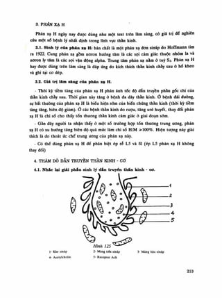 3. PHẨN XẠ H
Phàn xạ H ngày nay được dùng nhu một test trên lâm sàng, có giá trị để nghiên
cứu một sổ bệnh lý nhất định trong lĩnh vực thần kinh.
3.1. Sinh lý của phán xạ H: bản chất là một phản xạ đon sináp do Hoffmann tìm
ra 1922. Cung phản xạ gồm noron huống tâm là các sợi cảm giác thuộc nhóm la và
noron ly tâm là các sợi vận động alpha. Trung tâm phản xạ nằm ỏ tuy Si. Phản xạ H
hay được dùng trẽn lâm sàng là đáp úng do kích thích thần kinh chày sau ỏ bổ kheo
và ghi tại co dép.
3.2. Giá trị lâm sàng của phản xạ H.
- Thòi kỳ tiềm tàng của phản xạ H phản ánh tóc độ dẫn truyền phần góc chi cùa
thần kinh chầy sau. Thòi gian này tăng ỏ bệnh đa dây thần kinh.Ở bệnh đái đường,
sự bất thuồng cứa phán xạ H là biểu hiện sòm của biến chúng thần kinh (thòi kỳ tiêm
tàng tăng, biên độ giảm).Ở các bệnh thần kinh do rượu, tăng uré huyết, thay đổi phàn
xạ H 'là chi số cho thấy tổn thuong thằn kinh cảm giác ỏ giai đoạn sòm.
- Gần đây nguôi ta nhận thấy ỏ một số truồng họp tổn thương trung ương, phản
xạ H có xu huống tăng biên độ quá múc làm chỉ số H/M »100%. Hiện tượng này giải
thích là do thoát úc chế trung ương của phản xạ này.
- Có thể dùng phản xạ H đề phân biệt ép rễ L5 và SI (ép L5 phản xạ H không
thay đối)
4. THĂM DÒ DẪN TRUYỀN THẦN KINH - co
4.1. Nhác lại giải phát! sinh lý dán truyền thẩn kinh - cơ.
Ì- Khe sináp
4- Acetylcholin
Hình 125
2- Màng tiên sináp
5- Receptor Ách
3- Màng hậu sináp
213
 