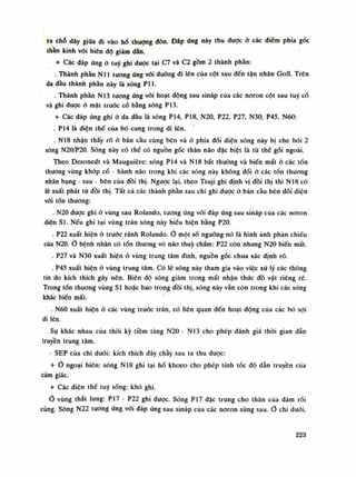 ra chỗ dây giũa di vào hố thượng đòn. Đáp úng này thu được ỏ các điềm phía góc
thần kinh vối biền độ giảm dần.
+ Các đáp úng ỏ tuy ghi dược tại C7 và C2 gồm 2 thành phần:
. Thành phàn NU tuông ứng vối dường đi lên của cột sau đến tận nhân Goll. Trên
da dầu thành phàn này là sóng Pll.
. Thành phần N13 tuông ứng vối hoạt động sau sináp của các noron cột sau tuy cồ
và ghi được ỏ mật trước cổ bằng sóng P13.
+ Các đáp ứng ghi ỏ da đầu là sóng P14, P18, N20, P22, P27, N30, P45, N60:
. P14 là diện thế của bó cung trong đi lên.
. N18 nhận thấy rõ ỏ bán cầu cùng bên và ỏ phía đối diện sóng này bị che bói 2
sóng N20/P20. Sóng này có thể có nguồn gốc thán não đặc biệt là tù thể gối ngoài.
Theo Desonedt và Mauguière: sóng P14 và N18 bất thuồng và biến mất ò các tốn
thương vùng khớp cổ - hành não trong khi các sóng này không đổi ó các tổn thương
nhân bụng - sau - bên cùa đồi thị. Ngược lại, theo Tsuji ghi định vị đồi thị thì N18 có
lẽ xuất phát từ đồi thị. Tất cả các thành phần sau chi ghi dược ỏ bán cầu bên đối diện
vói tổn thương:
. N20 được ghi ỏ vùng sau Rolando, tuông ứng vói đáp ứng sau sináp của các noron
diện SI. Nếu ghi tại vùng trán sóng này biểu hiện bằng P20.
. P22 xuất hiện ỏ trước rãnh Rolando.Ỏ một số ngưỡng nó là hình ảnh phản chiếu
của N20. Ò bệnh nhân có tổn thương vò não thúy chấm: P22 còn nhung N20 biến mất.
. P27 và N30 xuất hiện ỏ vùng trung tâm đinh, nguồn gốc chua xác định rõ.
. P45 xuất hiện ỏ vùng trung tâm. Có lẽ sóng này tham gia vào việc xử lý các thông
tin do kích thích gây nên. Biên độ sóng giảm trong mất nhận thúc đồ vật riêng rẽ.
Trong tổn thương vùng SI hoặc bao trong đồi thị, sóng này vẫn còn trong khi các sóng
khác biến mất.
. N60 xuất hiện ỏ các vùng truóc trán, có liên quan đến hoạt dộng cùa các bó sợi
đi lên.
Sụ khác nhau cùa thòi kỳ tiềm tàng N20 - N13 cho phép đánh giá thòi gian dẫn
truyền trung tâm.
- SEP của chi dưới: kích thích dây chầy sau ta thu được:
+ o ngoại biên: sóng N18 ghi tại hố khoèo cho phép tính tốc độ dẫn truyền cùa
cảm giác.
+ Các diện thế tuy sóng: khó ghi.
Ò vùng thắt lung: P17 - P22 ghi duọc. Sóng P17 đặc trung cho thân cùa đám rói
cùng. Sóng N22 tuông ứng vói đáp ứng sau sináp của các noron sùng sau. Ỏ chi dưới.
223
 
