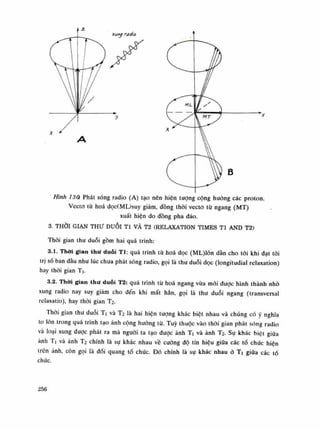 y
B
HìnhỈ3ữ Phát sóng radio (A) tạo nên hiện tượng cộng hường các proton.
Vecto tù hoa dọc(ML)suy giảm, đồng thòi vecto tù ngang (MT)
xuất hiện do đồng pha đảo.
3. THÒI GIAN THƯ DUỖI TI VÀ T2 (RELAXATION TIMES TI AND T2)
Thòi gian thu duỗi gồm hai quá trình:
3.1. Thời gian thư duỗi TI: quá trình từ hoa dọc (ML)lón dần cho tói khi dạt tói
trị số ban đầu như lúc chua phát sóng radio, gọi là thư duỗi dọc (longitudial relaxation)
hay thòi gian Ti.
3.2. Thời gian thư duỗi T2: quá trình tù hoa ngang vừa mói đuọc hình thành nhò
xung radio nay suy giảm cho đến khi mất hẳn, gọi là thư duỗi ngang (transversal
relaxatio), hay thòi gian T2.
Thòi gian thư duỗi Ti và Ti là hai hiện tượng khác biệt nhau và chúng có ý nghĩa
to lòn trong quá trình tạo ảnh cộng hướng từ. Tuy thuộc vào thòi gian phát sóng radio
và loại xung được phát ra mà nguôi ta tạo được ảnh Ti và ảnh Ti. Sụ khác biệt giũa
ảnh Ti và ảnh T2 chính là sụ khác nhau về cuông độ tín hiệu giữa các tố chúc hiên
trên ảnh, còn gọi là đối quang tổ chức. Đó chính là sụ khác nhau ỏ Ti giũa các tổ
chức.
256
 