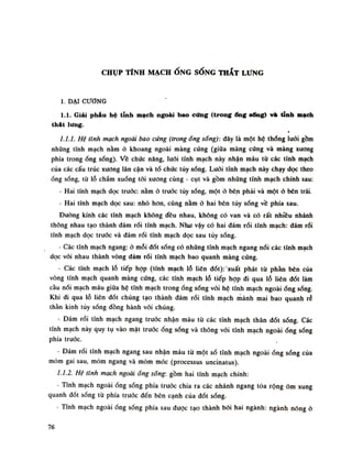 CHỤP TĨNH MẠCHỐ N G SONG T H Ắ T L Ư N G
1. DẠI CƯƠNG
1.1. Giải ph&u hệ tĩnh mạch ngoài bao cúng (trong ưng sổng) và tinh mạch
thát lưng.
1.1.1. Hệ tĩnh mạch ngoài bao cứng (trong ổng sóng): đây là một hệ thống luói gồm
những tĩnh mạch nằm ỏ khoang ngoài màng cúng (giũa màng cúng và màng xương
phía trongống sống). Về chúc năng, lưới tính mạch này nhận máu từ các tính mạch
của các cấu trúc xương lân cận và tổ chúc tủy sống. Lưới tĩnh mạch này chạy dọc theo
ống sống, tù lỗ chẩm xuống tỏi xương cùng - cụt và gồm những tĩnh mạch chính sau:
- Hai tĩnh mạch dọc truóc: nằm ỏ truóc túy sổng, mộtở bên phải và một ỏ bên trái.
- Hai tĩnh mạch dọc sau: nhỏ hon, cũng nằm ỏ hai bên tủy sống về phía sau.
Đường kính các tĩnh mạch không đều nhau, không có van và có rất nhiều nhánh
thông nhau tạo thành đám rối tĩnh mạch. Nhu vậy có hai đám rối tĩnh mạch: dám rói
tĩnh mạch dọc trước và đám rối tĩnh mạch dọc sau tủy sống.
- Các tĩnh mạch ngang: ỏ mỗi đốt sống có nhũng tĩnh mạch ngang nổi các tĩnh mạch
dọc vối nhau thành vòng đám rối tĩnh mạch bao quanh màng cúng.
- Các tĩnh mạch lỗ tiếp họp (tĩnh mạch lỗ liên đốt): xuất phát tù phàn bên của
vòng tĩnh mạch quanh màng cứng, các tĩnh mạch lỗ tiếp họp đi qua lỗ liên dốt làm
cầu nối mạch máu giữa hệ tĩnh mạch trongống sóng vói hệ tĩnh mạch ngoài óng sóng.
Khi đi qua lỗ liên đốt chúng tạo thành đám rói tĩnh mạch mảnh mai bao quanh ré
thằn kinh túy sống đồng hành vói chúng.
- Đám rói tĩnh mạch ngang trước nhận máu tù các tĩnh mạch thân đốt sóng. Các
tĩnh mạch này quy tụ vào mặt trướcống sống và thông vói tĩnh mạch ngoài óng sóng
phía trước.
- Đám rói tĩnh mạch ngang sau nhận máu từ một số tĩnh mạch ngoài óng sóng của
móm gai sau, mỏm ngang và móm móc (processus uncinatus).
1.1.2. Hệ tĩnh mạch ngoài óng sống: gồm hai tĩnh mạch chính:
- Tĩnh mạch ngoàiống sóng phía trước chia ra các nhánh ngang tòa rộng ôm xung
quanh đốt sống tù phía truỏc đến bên cạnh của dốt sóng.
• Tĩnh mạch ngoàiống sóng phía sau đuọc tạo thành bởi hai ngành: ngành nóng ỏ
76
 