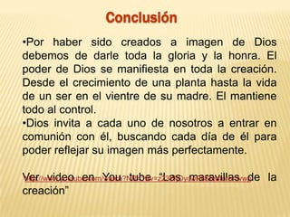 Conclusión
•Por haber sido creados a imagen de Dios
debemos de darle toda la gloria y la honra. El
poder de Dios se manifiesta en toda la creación.
Desde el crecimiento de una planta hasta la vida
de un ser en el vientre de su madre. El mantiene
todo al control.
•Dios invita a cada uno de nosotros a entrar en
comunión con él, buscando cada día de él para
poder reflejar su imagen más perfectamente.
Ver video en You tube “Las maravillas de la
creación”
http://www.youtube.com/watch?NR=1&v=z23WjOycwP8&feature=fvwp
 