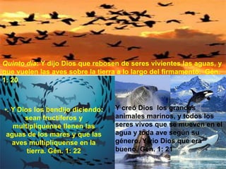 •. Y Dios los bendijo diciendo:
sean fructíferos y
multiplíquense llenen las
aguas de los mares y que las
aves multiplíquense en la
tierra. Gén. 1: 22
Quinto día: Y dijo Dios que rebosen de seres vivientes las aguas, y
que vuelen las aves sobre la tierra a lo largo del firmamento. Gén.
1: 20
Y creó Dios los grandes
animales marinos, y todos los
seres vivos que se mueven en el
agua y toda ave según su
género. Y vio Dios que era
bueno. Gén. 1: 21
 